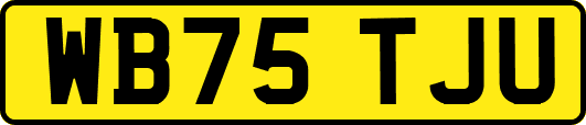 WB75TJU