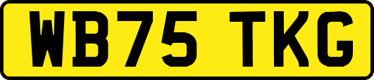 WB75TKG