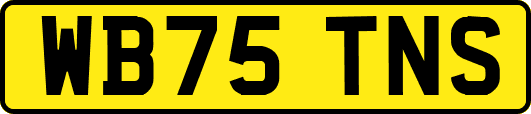 WB75TNS