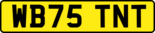 WB75TNT