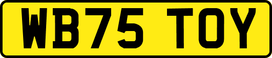 WB75TOY