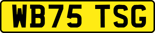 WB75TSG