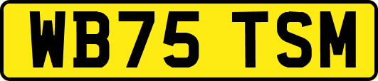WB75TSM