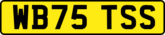 WB75TSS