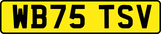 WB75TSV