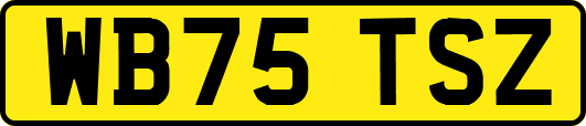 WB75TSZ