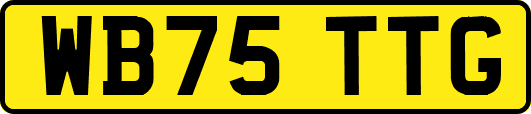 WB75TTG