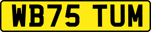 WB75TUM