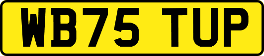 WB75TUP