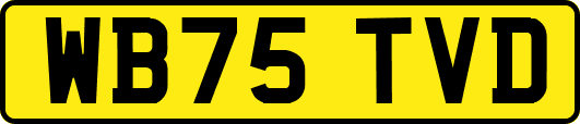 WB75TVD