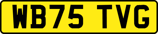 WB75TVG