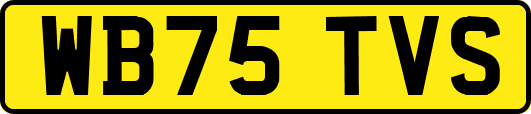 WB75TVS