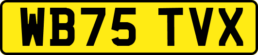 WB75TVX