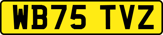 WB75TVZ