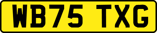 WB75TXG