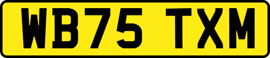 WB75TXM