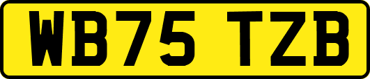 WB75TZB