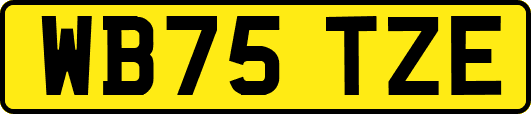 WB75TZE