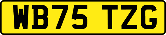 WB75TZG
