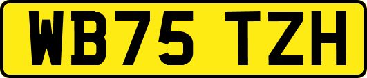 WB75TZH