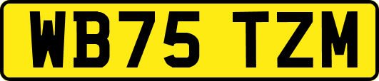 WB75TZM