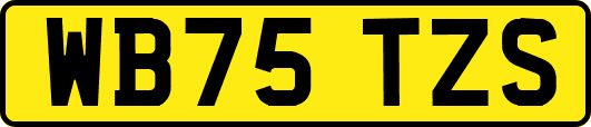 WB75TZS