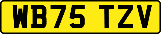 WB75TZV