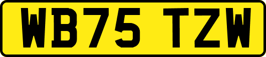 WB75TZW