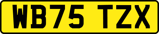 WB75TZX