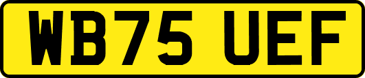 WB75UEF