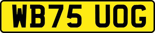 WB75UOG