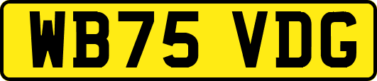 WB75VDG
