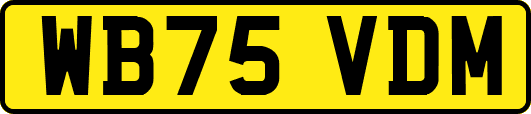 WB75VDM