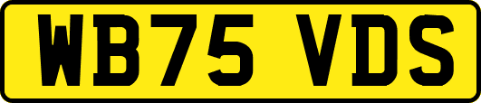 WB75VDS