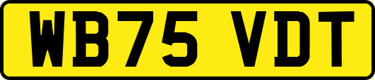 WB75VDT