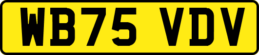 WB75VDV