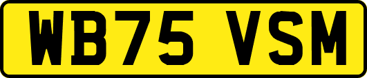 WB75VSM
