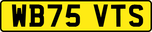 WB75VTS