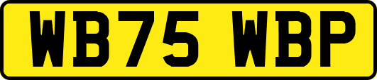 WB75WBP