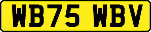 WB75WBV