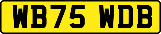 WB75WDB