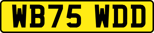 WB75WDD