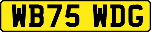WB75WDG