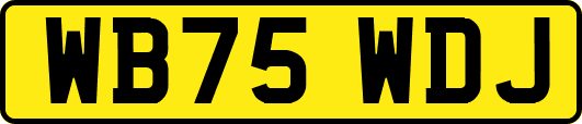 WB75WDJ