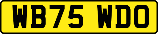 WB75WDO