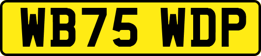 WB75WDP