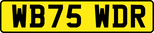 WB75WDR