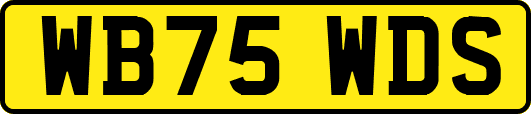 WB75WDS