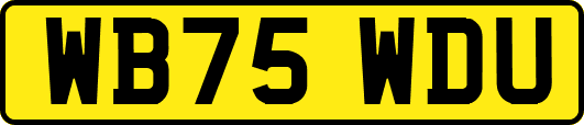 WB75WDU