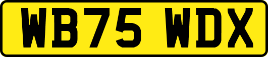 WB75WDX